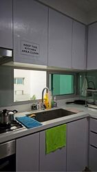 Eight Riversuites (D12), Condominium #568745421